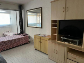 Studio 4 pers, centre port Agde, proche commerces et plage, résidence sécurisée, animaux acceptés - FR-1-749-33